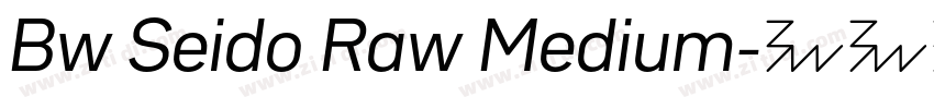 Bw Seido Raw Medium字体转换